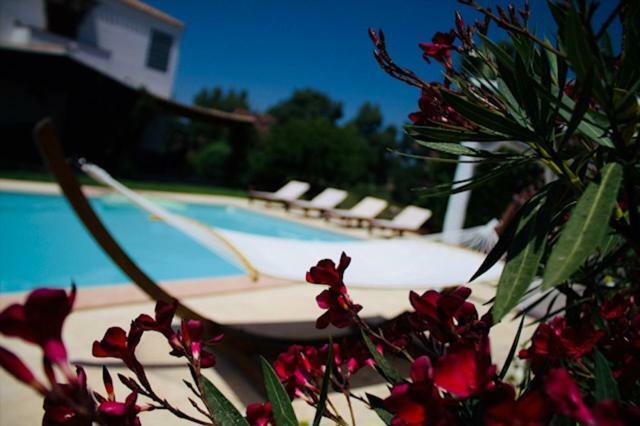 Villa Silvia Apartment Olmedo Eksteriør bilde